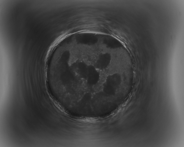 X0000085040149200703051359