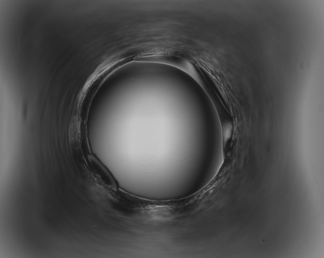 X0000085040150200703051359