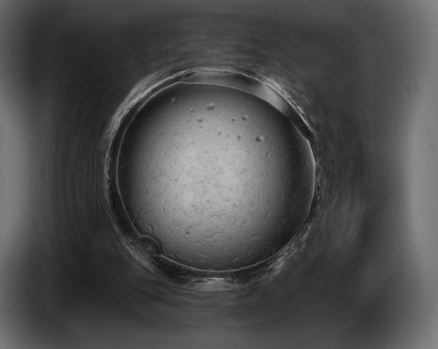 X0000085040151200703051359