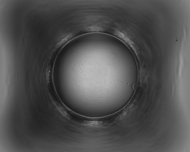 X0000085040153200703051359
