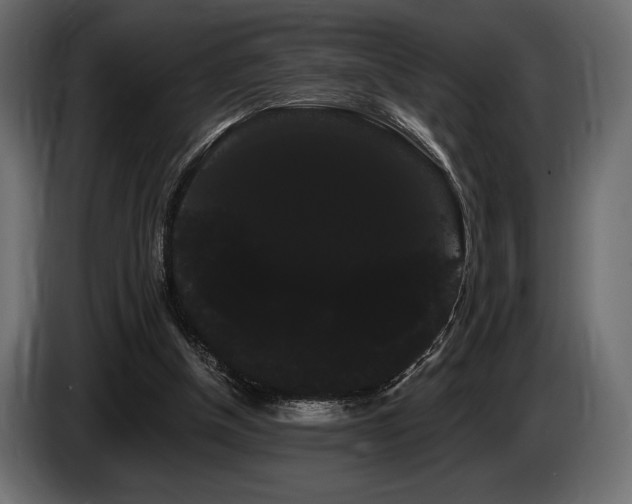X0000085040154200703051359