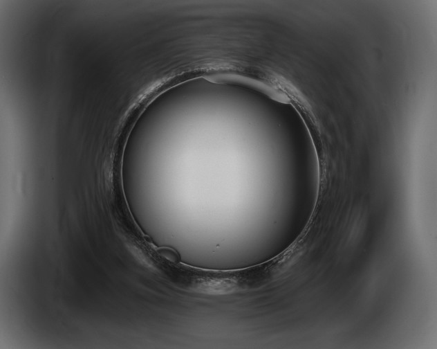 X0000085040155200703051359