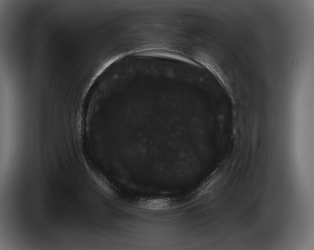 X0000085040156200703051359