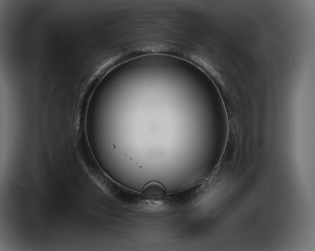 X0000085040159200703051359