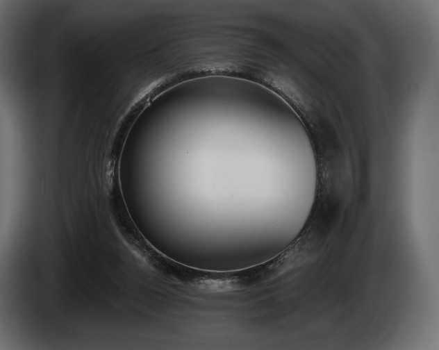 X0000085040160200703051359