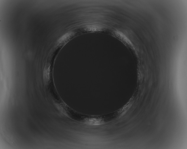 X0000085040163200703051359