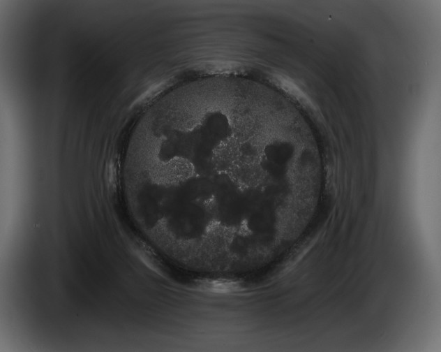 X0000085040165200703051359