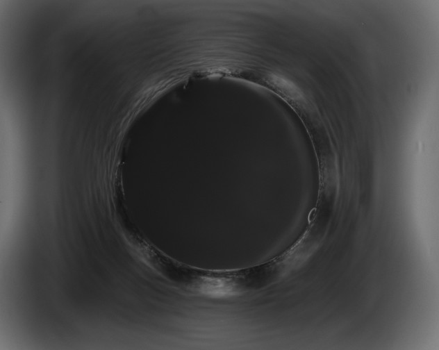X0000085040167200703051359