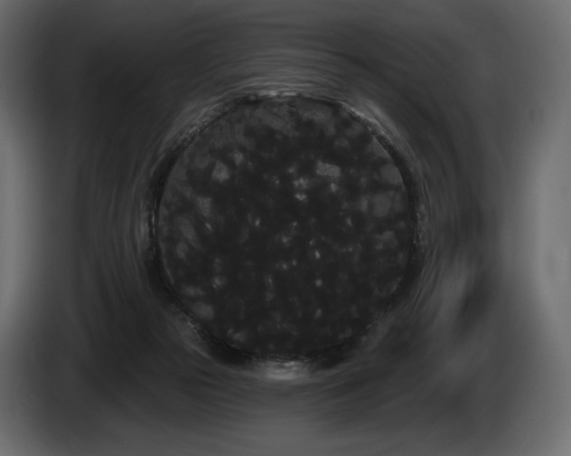X0000085040169200703051359
