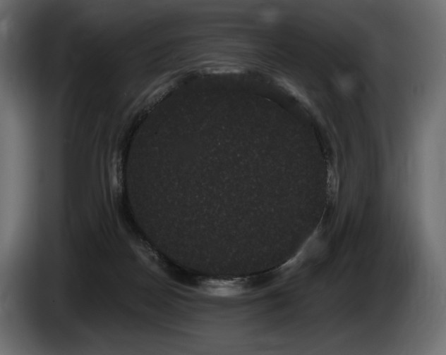 X0000085040170200703051359