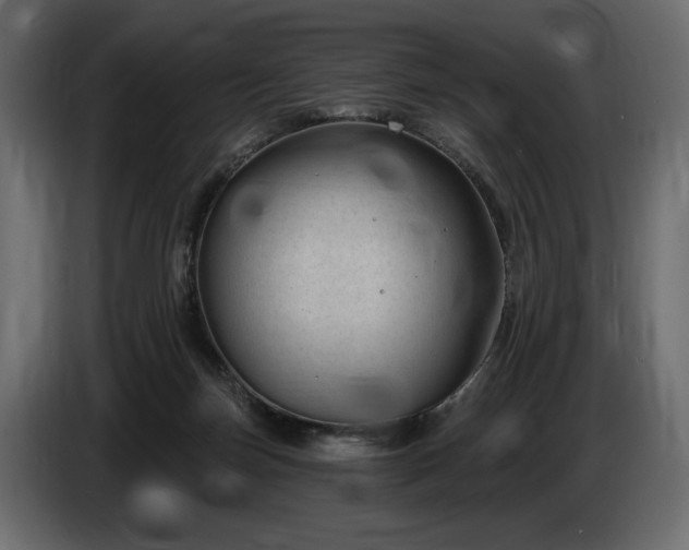 X0000085040171200703051359