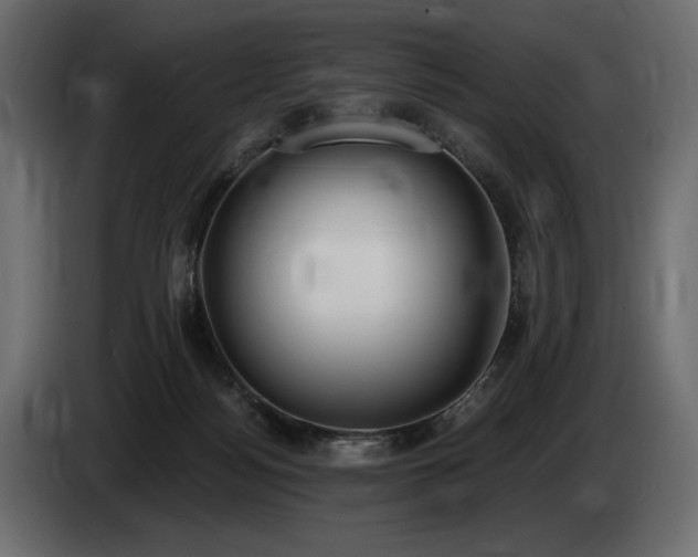 X0000085040172200703051359