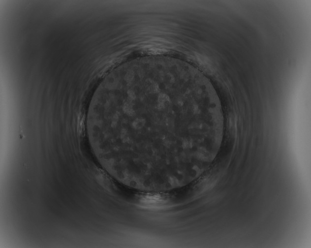 X0000085040177200703051359