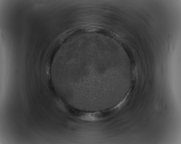 X0000085040178200703051359