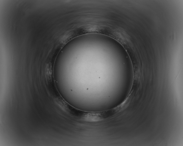 X0000085040179200703051359