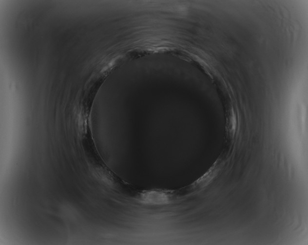 X0000085040180200703051359