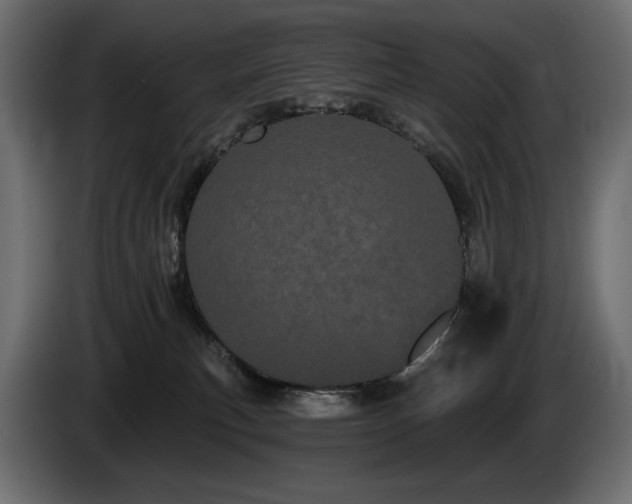 X0000085040183200703051359