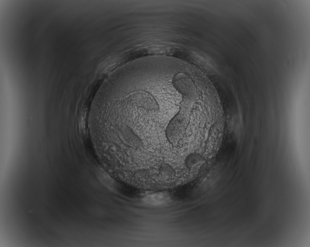 X0000085040185200703051359