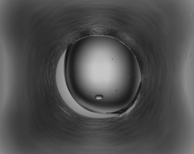 X0000085040186200703051359