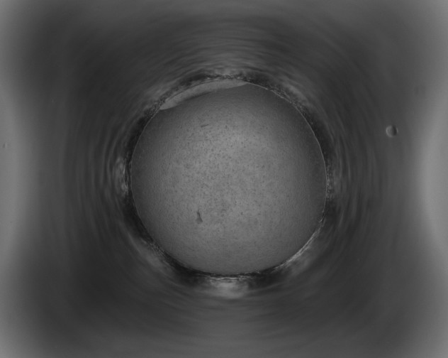 X0000085040187200703051359