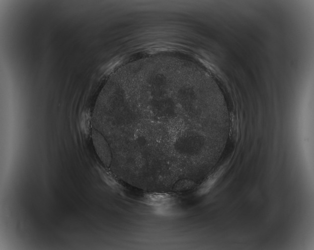 X0000085040189200703051359