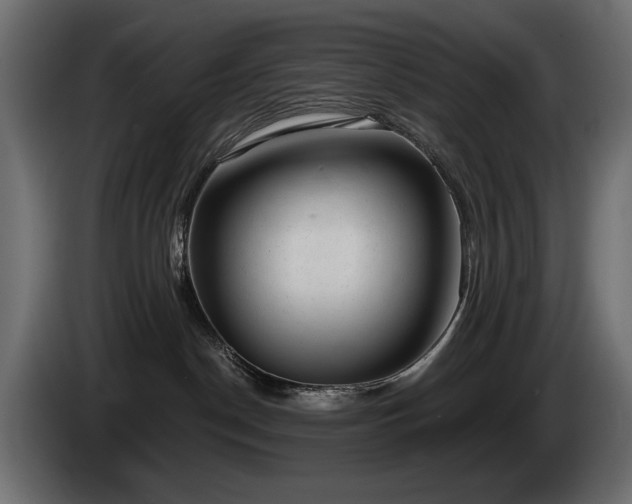 X0000085040190200703051359