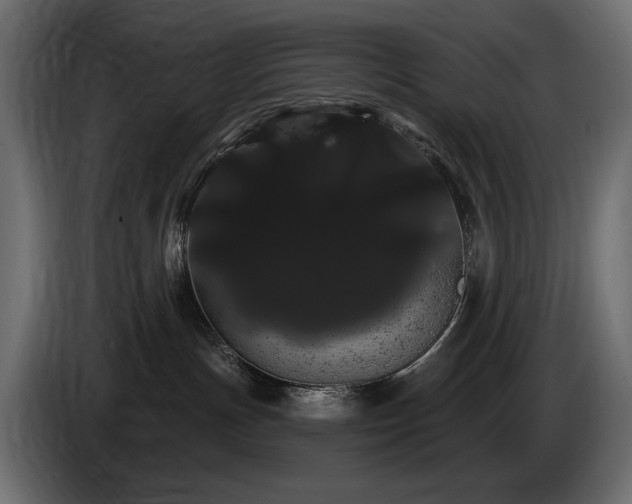 X0000085040191200703051359