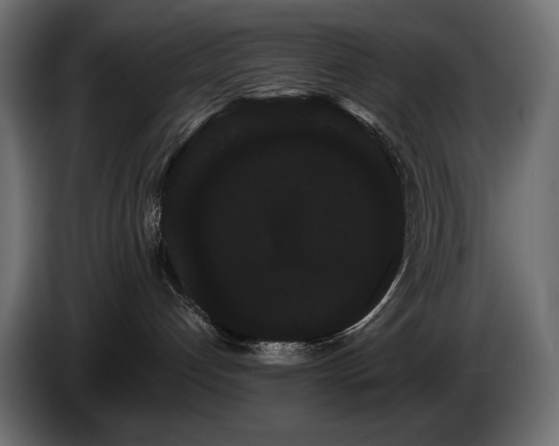 X0000085040192200703051359