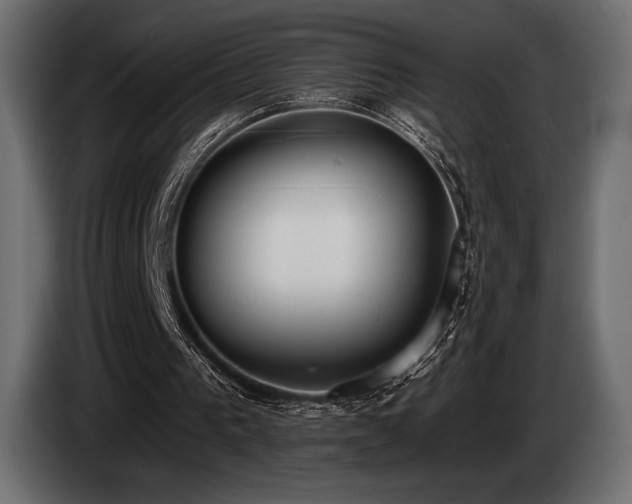 X0000085040193200703051359