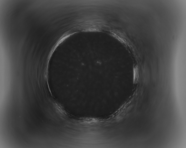 X0000085040195200703051358