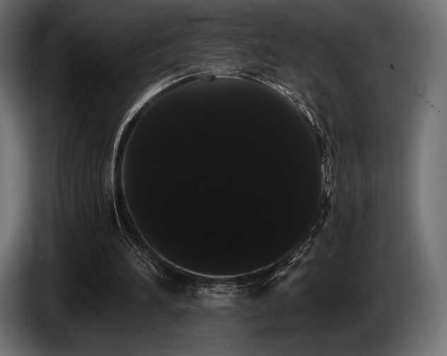 X0000085040196200703051358
