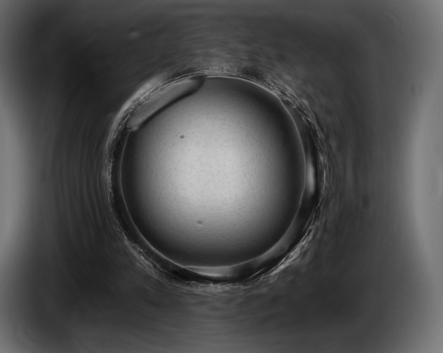 X0000085040197200703051358