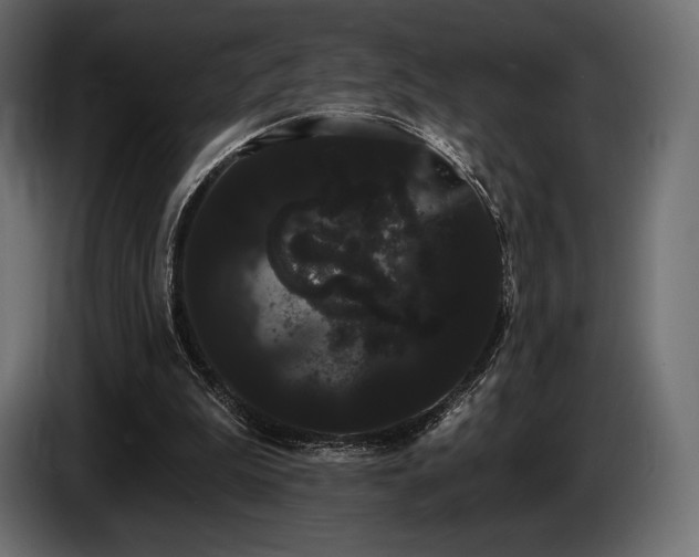 X0000085040199200703051358