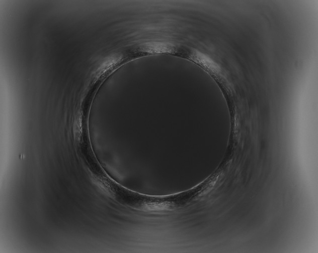 X0000085040202200703051358