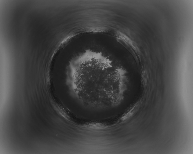 X0000085040203200703051358