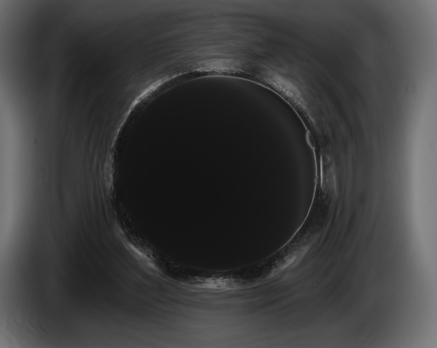 X0000085040204200703051358