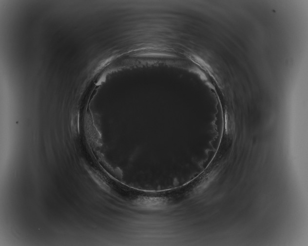 X0000085040205200703051358