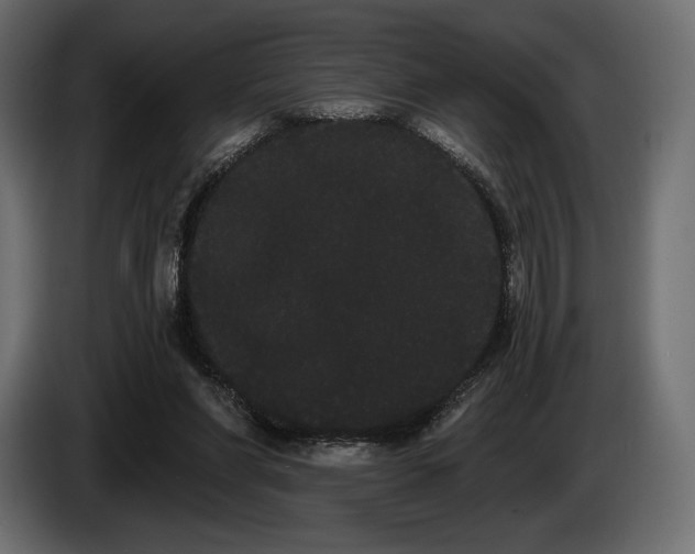 X0000085040206200703051358