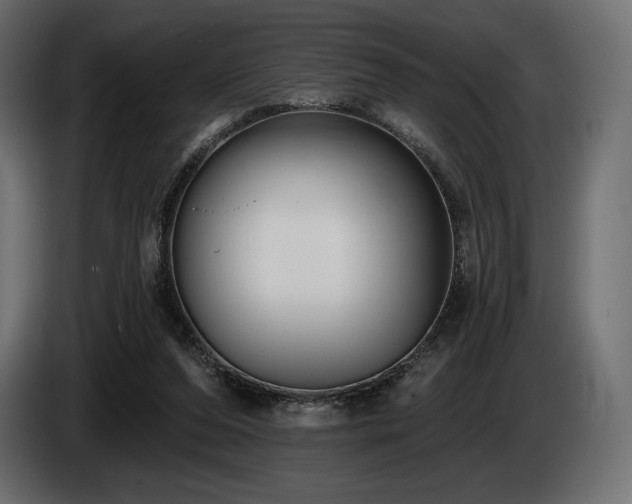X0000085040208200703051358