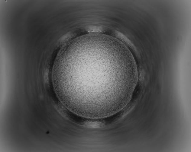 X0000085040209200703051358