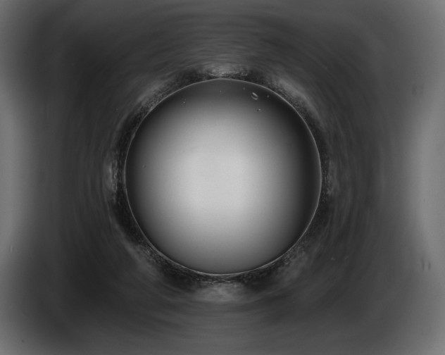 X0000085040210200703051358