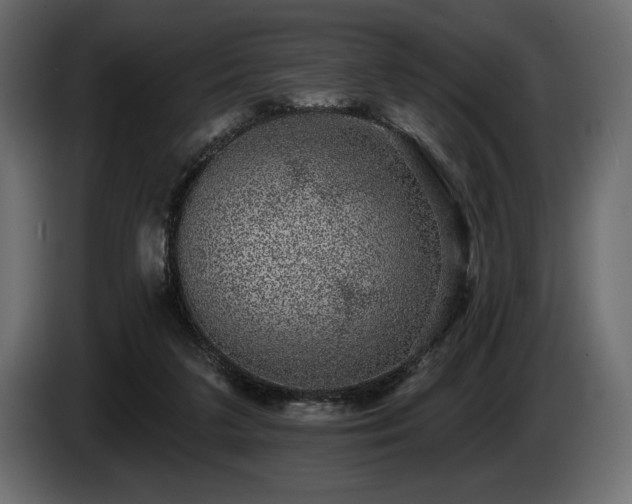 X0000085040211200703051358