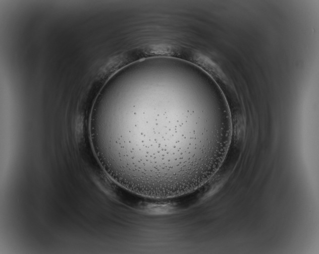 X0000085040213200703051358