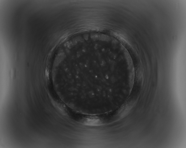 X0000085040214200703051358