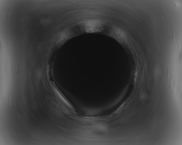 X0000085040219200703051358