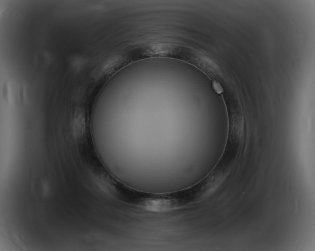 X0000085040220200703051358