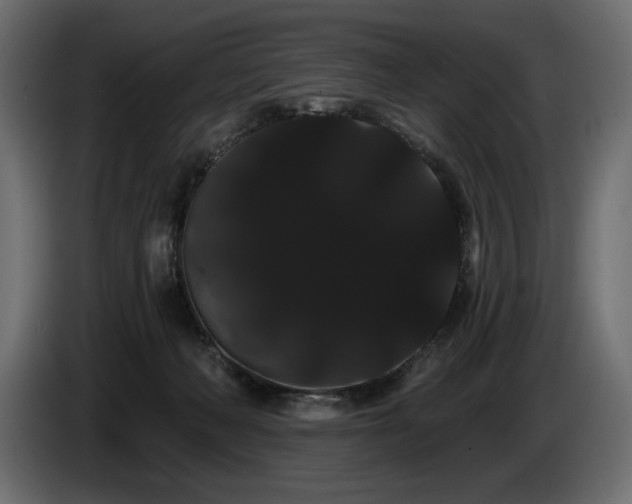 X0000085040222200703051358