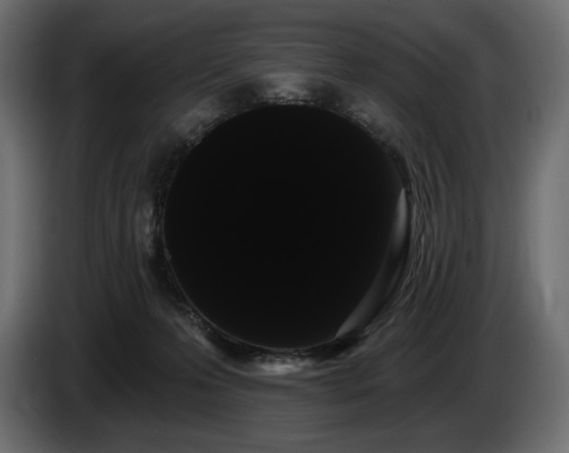 X0000085040223200703051358