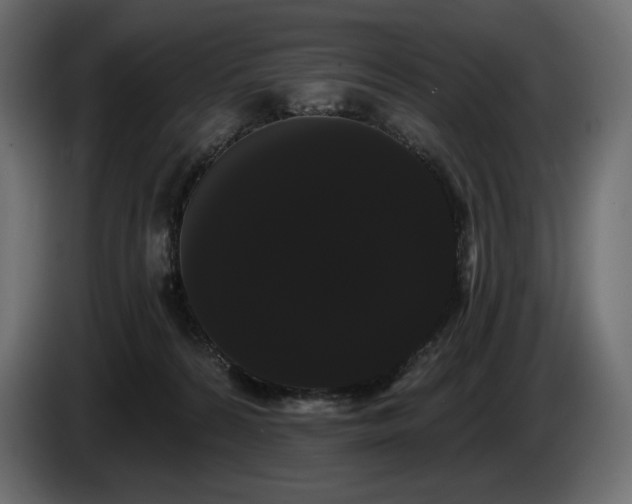 X0000085040224200703051358