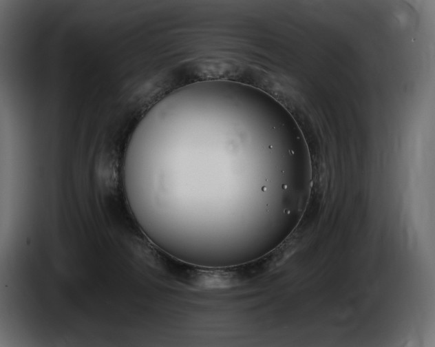X0000085040226200703051358